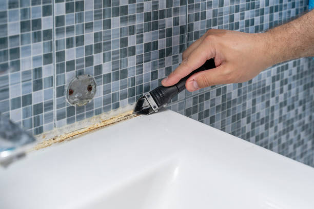 Best Mold Remediation for Specific Building Types in Minot Af, ND