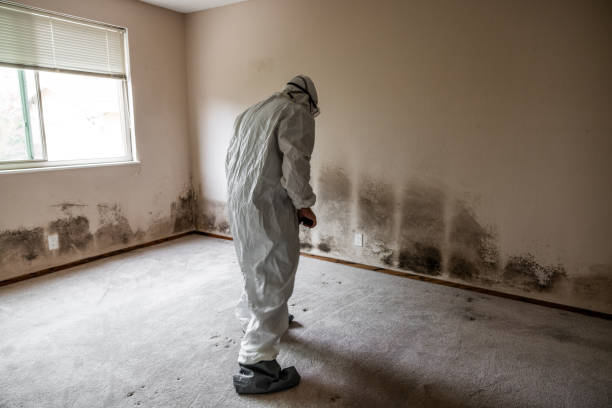 Best HVAC Mold Remediation in Minot Af, ND